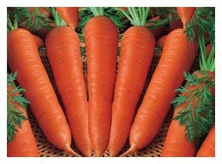  Морковный сок. Сок моркови. Морковь.