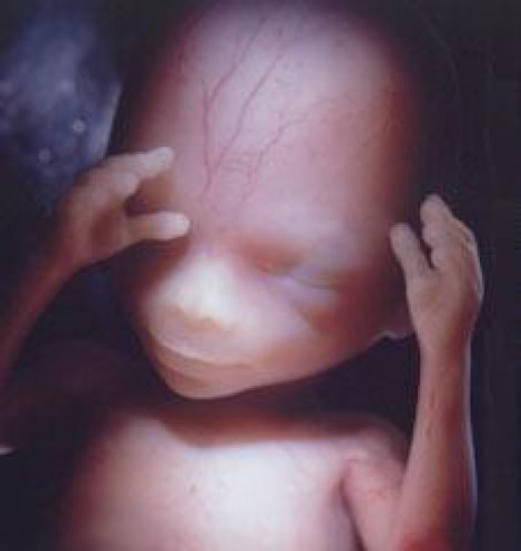 Четырнадцатая неделя беременности – начало «золотого периода»